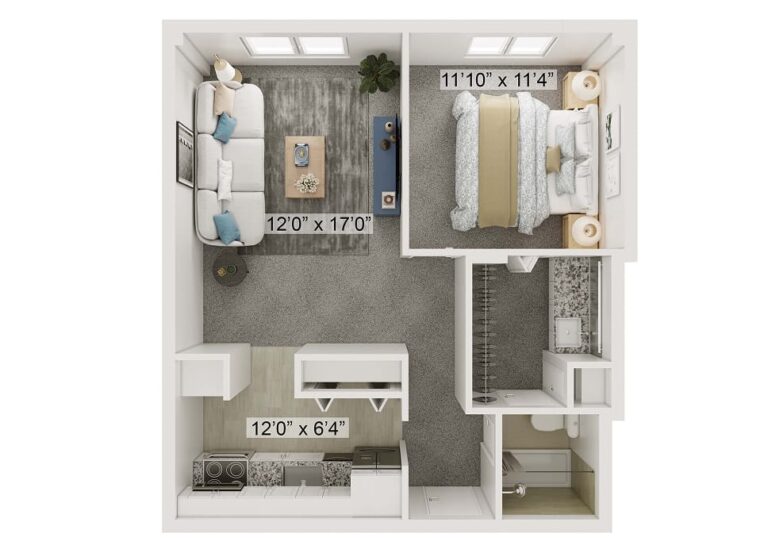 One Bedroom Apartment