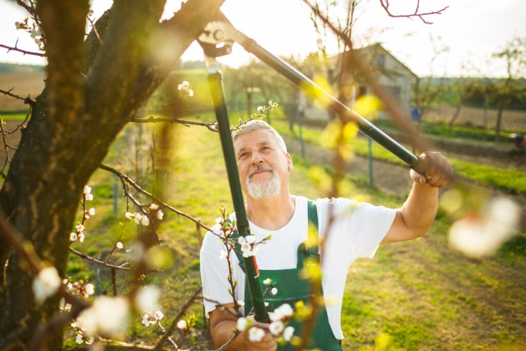 3 Reasons Why Gardening Is a Great Pastime for Seniors